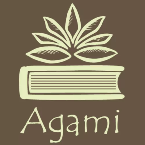 Agami Inc