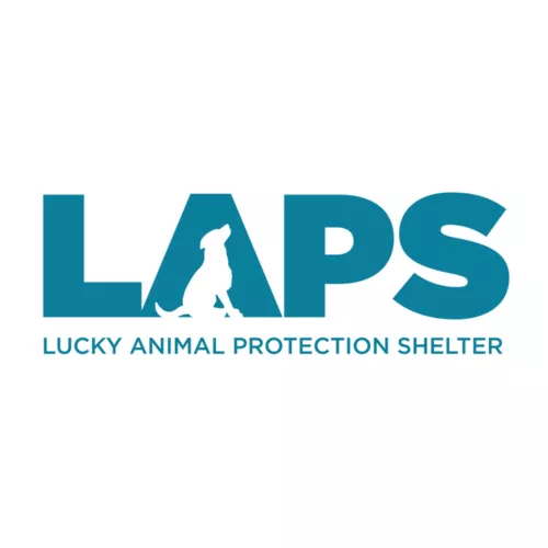 Lucky Animal Protection Shelter Lucky Animal Protection Shelter