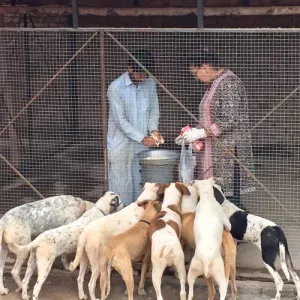 Lucky Animal Protection Shelter